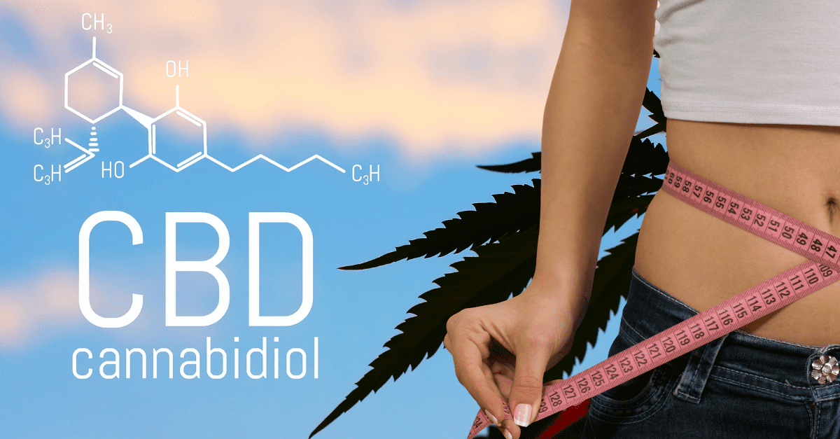 Can CBD Help You with Weight Loss?, #1 USA Cannabidiol Blog