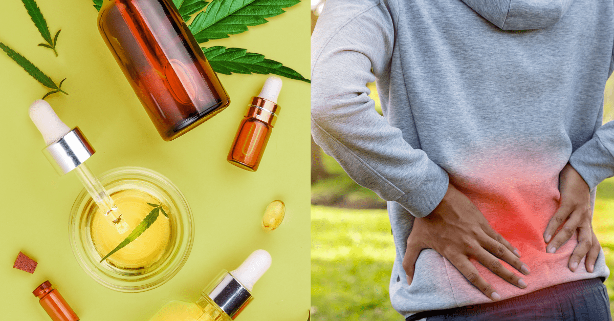 Does CBD help with back pain?, #1 USA Cannabidiol Blog