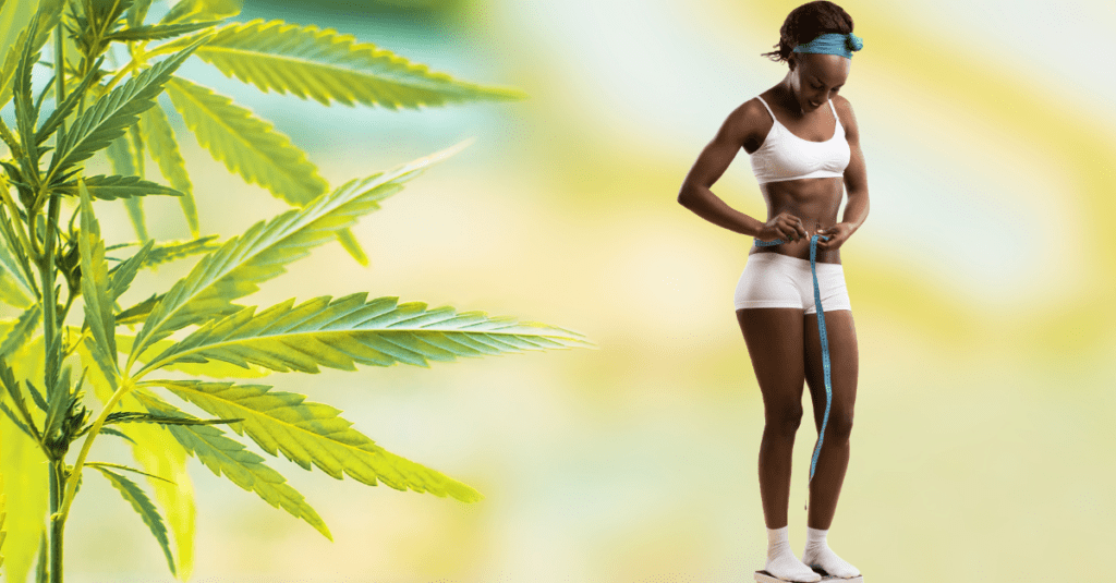 Can CBD Help You with Weight Loss?, #1 USA Cannabidiol Blog Can CBD Help You with Weight Loss?, #1 USA Cannabidiol Blog