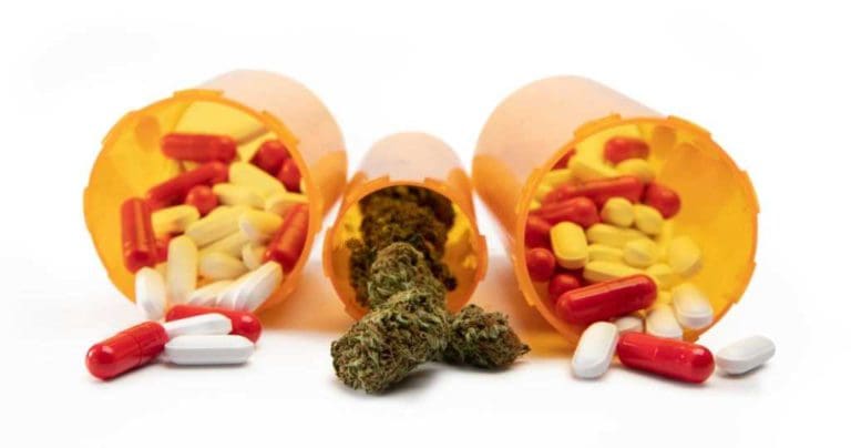 Home, #1 USA Cannabidiol Blog CBD-capsules-pros
