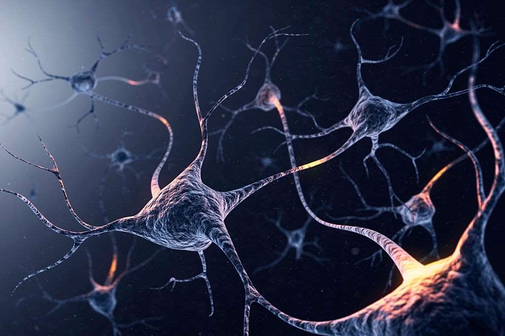 Endocannabinoid System – A Complete Guide to its Functioning, #1 USA Cannabidiol Blog Endocannabinoid-interaction