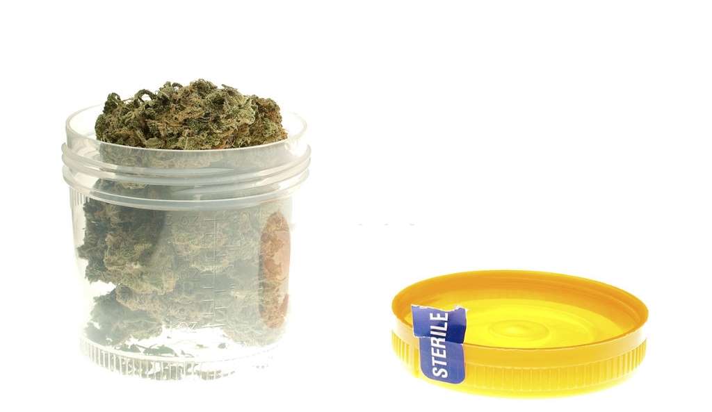 CBD and Drug Tests – Does CBD Shows Up in Drug Tests?, #1 USA Cannabidiol Blog CBD and Drug Tests, CBD and Drug Tests – Does CBD Shows Up in Drug Tests?, #1 USA Cannabidiol Blog