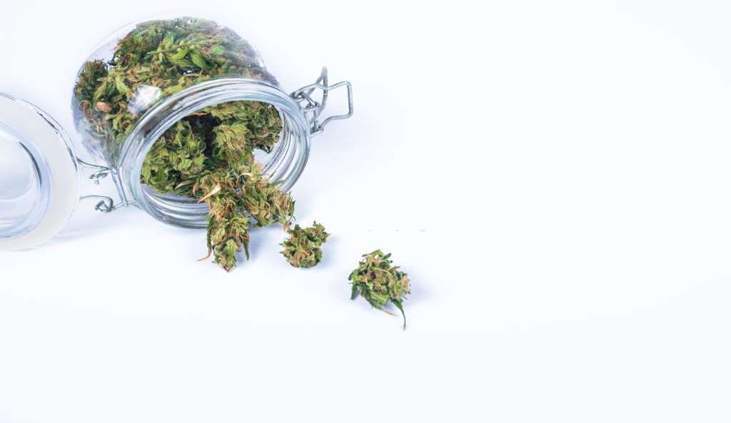 CBD and Drug Tests – Does CBD Shows Up in Drug Tests?, #1 USA Cannabidiol Blog CBD and Drug Tests, CBD and Drug Tests – Does CBD Shows Up in Drug Tests?, #1 USA Cannabidiol Blog