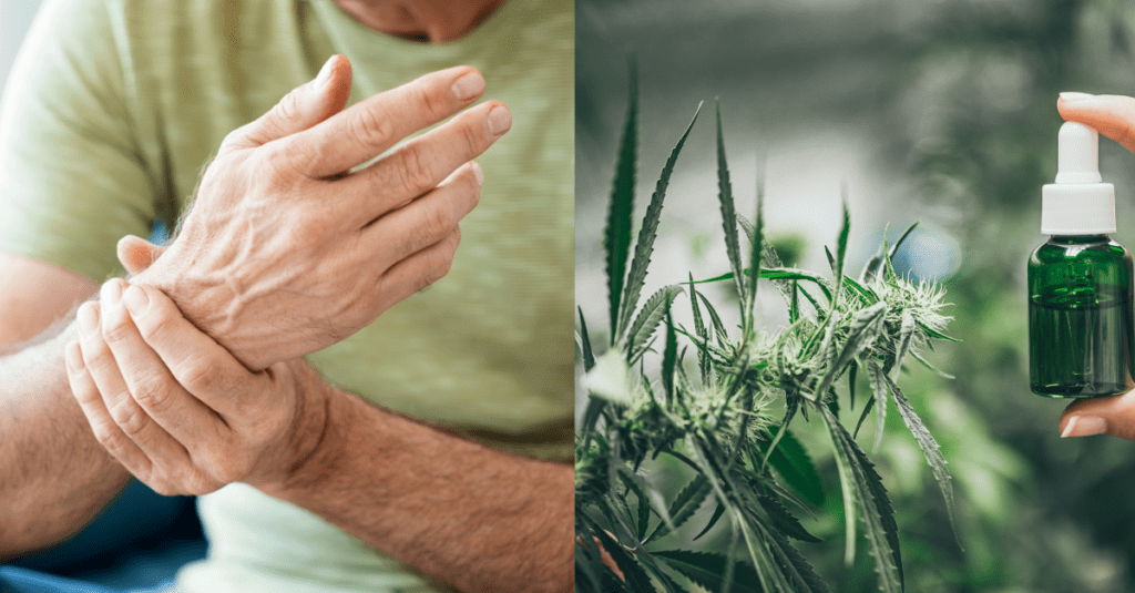 CBD for Pain Management – Does CBD Oil Works?, #1 USA Cannabidiol Blog CBD for Pain Management, CBD for Pain Management – Does CBD Oil Works?, #1 USA Cannabidiol Blog