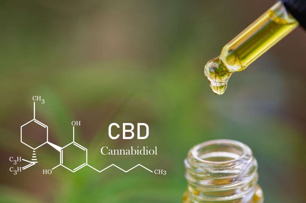 CBD and Meditation: Promoting a Sense of Calmness, #1 USA Cannabidiol Blog CBD and Meditation, CBD and Meditation: Promoting a Sense of Calmness, #1 USA Cannabidiol Blog