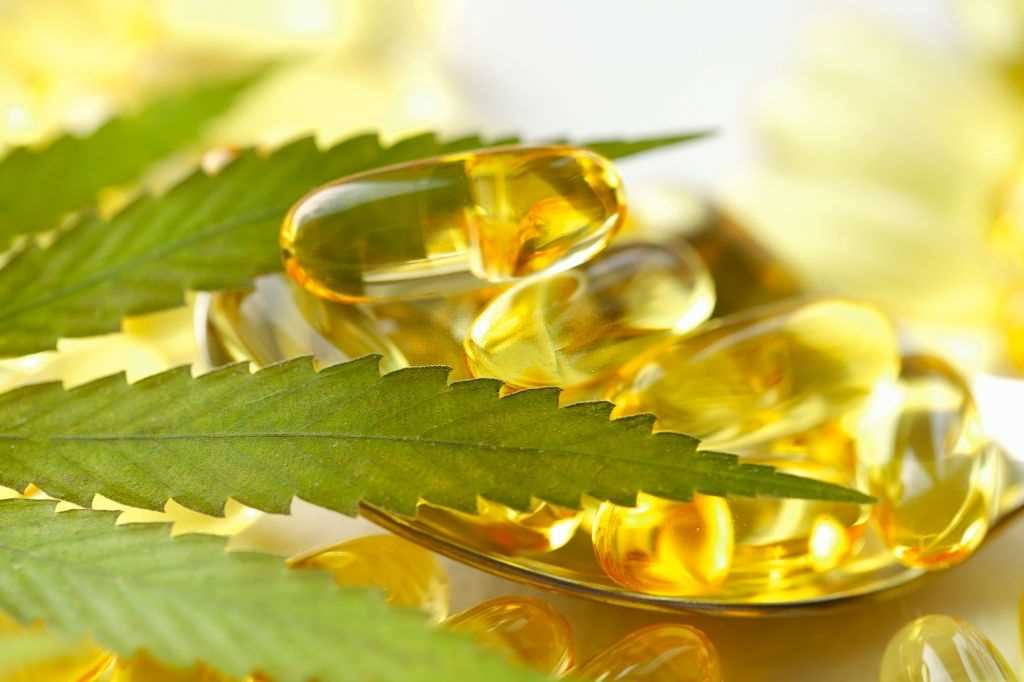 9 Not-So-Obvious Facts About CBD: What Did Not Know, #1 USA Cannabidiol Blog Facts About CBD, 9 Not-So-Obvious Facts About CBD: What Did Not Know, #1 USA Cannabidiol Blog