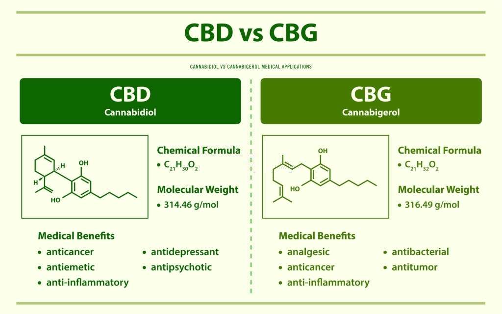 CBD VS CBG – What’s the Difference Between these Cannabinoids?, #1 USA Cannabidiol Blog CBD VS CBG, CBD VS CBG – What’s the Difference Between these Cannabinoids?, #1 USA Cannabidiol Blog