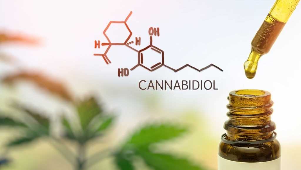 CBD Shopping Guide: Which Type of CBD Should You Buy?, #1 USA Cannabidiol Blog CBD Shopping Guide, CBD Shopping Guide: Which Type of CBD Should You Buy?, #1 USA Cannabidiol Blog