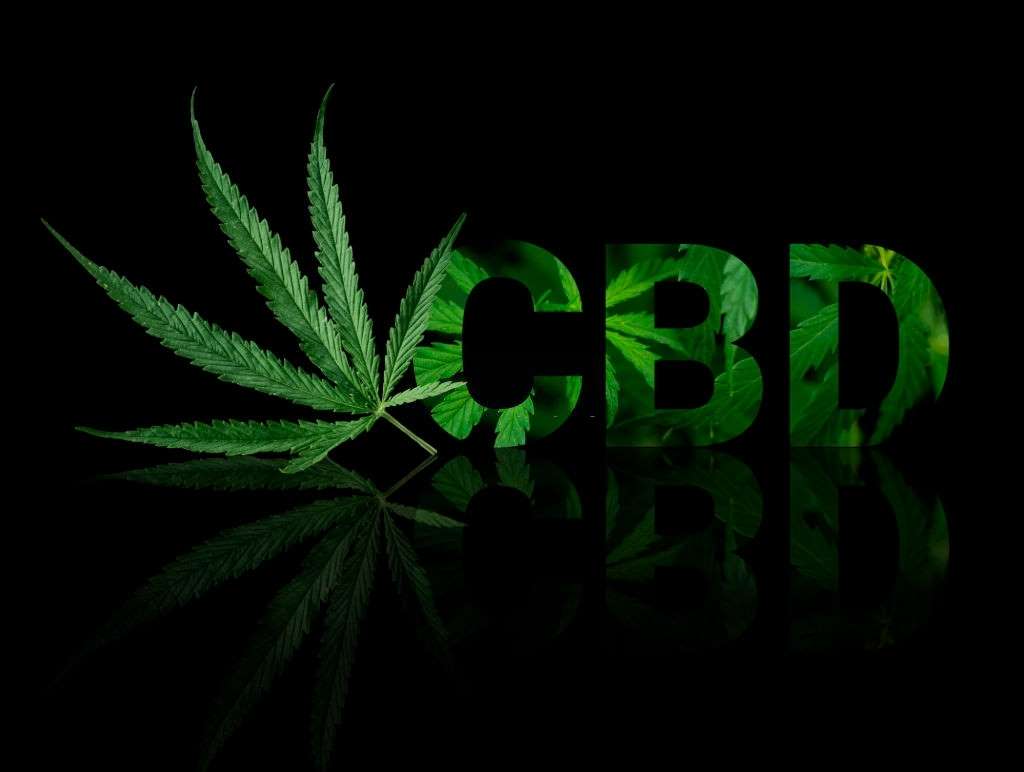 CBD Patches – a Guaranteed Method of Cannabinoid Delivery – Explained, #1 USA Cannabidiol Blog CBD Patches, CBD Patches – a Guaranteed Method of Cannabinoid Delivery – Explained, #1 USA Cannabidiol Blog
