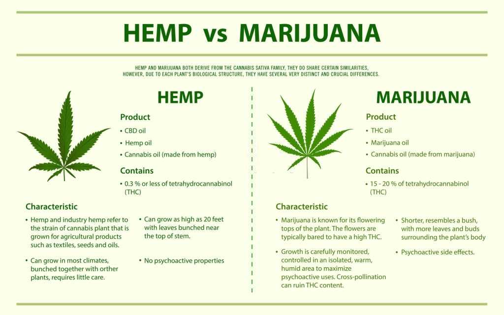 What Does CBD Feel Like?, #1 USA Cannabidiol Blog What Does CBD Feel Like, What Does CBD Feel Like?, #1 USA Cannabidiol Blog
