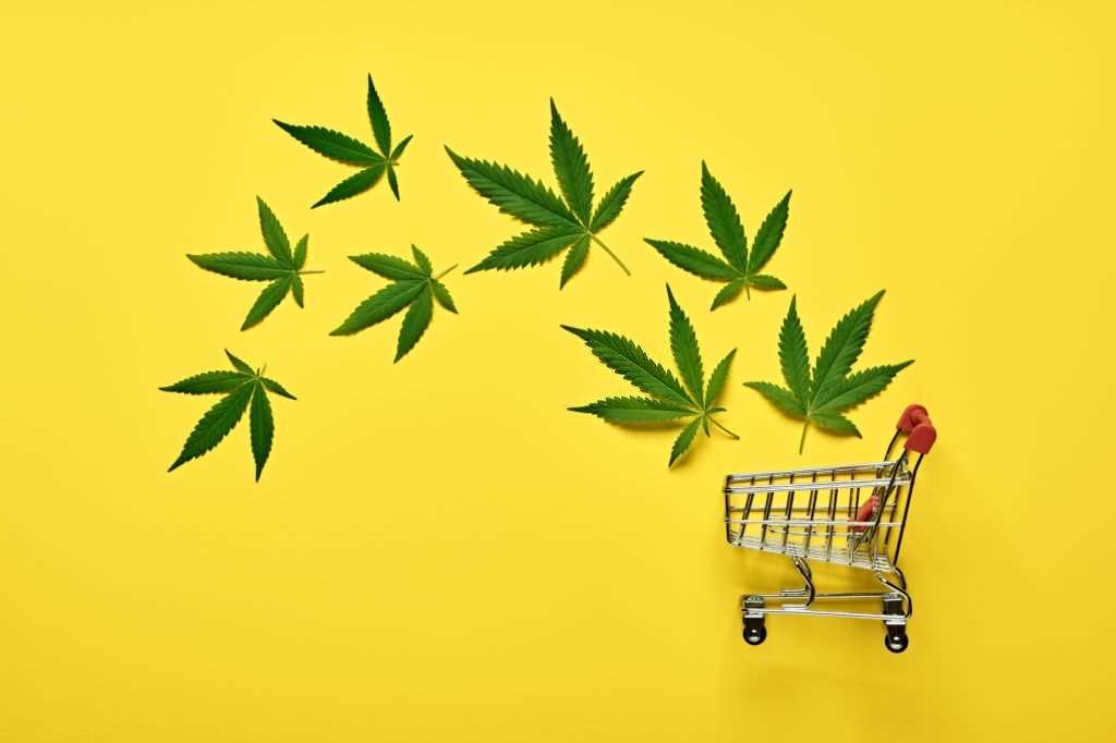 CBD Shopping Guide: Which Type of CBD Should You Buy?, #1 USA Cannabidiol Blog CBD Shopping Guide, CBD Shopping Guide: Which Type of CBD Should You Buy?, #1 USA Cannabidiol Blog