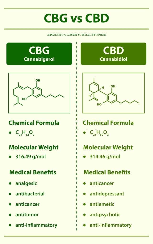 CBG – Cannabigerol: A New Cannabinoid on the Block, #1 USA Cannabidiol Blog CBG – Cannabigerol, CBG – Cannabigerol: A New Cannabinoid on the Block, #1 USA Cannabidiol Blog