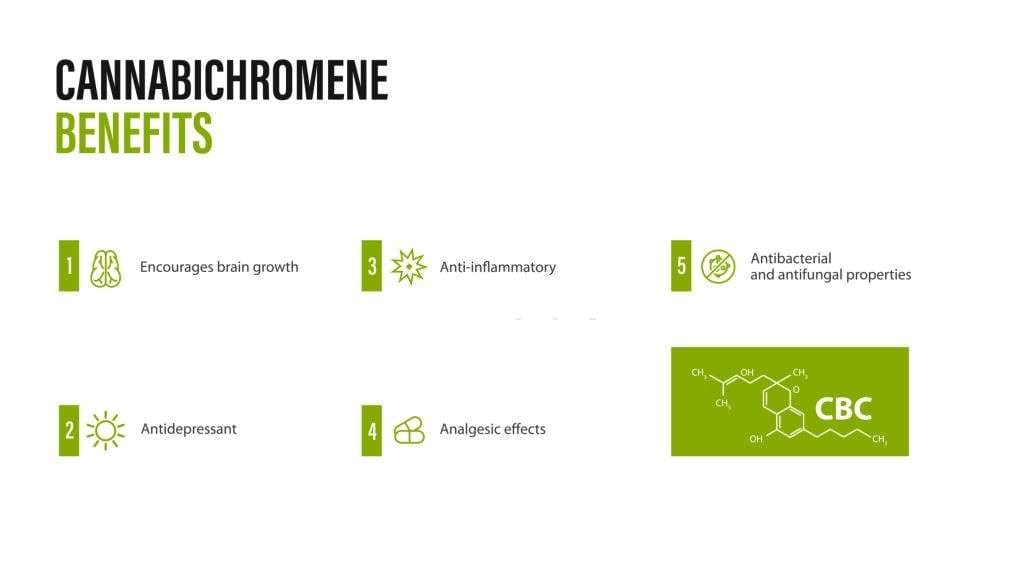 CBC – Cannabichromene: A Rare Cannabinoid With Huge Medical Potentials, #1 USA Cannabidiol Blog CBC – Cannabichromene, CBC – Cannabichromene: A Rare Cannabinoid With Huge Medical Potentials, #1 USA Cannabidiol Blog