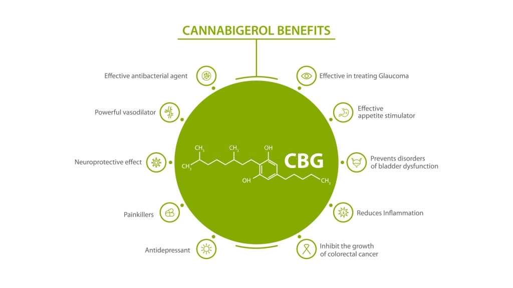 CBG – Cannabigerol: A New Cannabinoid on the Block, #1 USA Cannabidiol Blog CBG – Cannabigerol, CBG – Cannabigerol: A New Cannabinoid on the Block, #1 USA Cannabidiol Blog