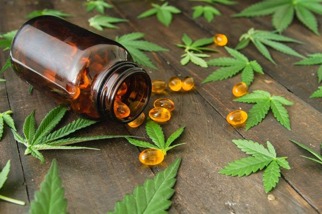 CBD for Pancreatitis: Research and Efficacy, #1 USA Cannabidiol Blog CBD for Pancreatitis, CBD for Pancreatitis: Research and Efficacy, #1 USA Cannabidiol Blog
