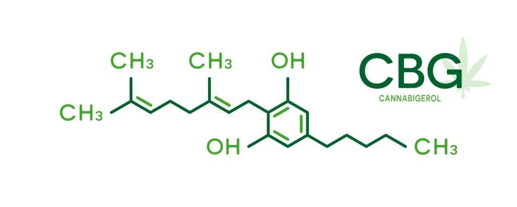 Top 4 Minor Cannabinoids: Uses And Benefits, #1 USA Cannabidiol Blog Top 4 Minor Cannabinoids, Top 4 Minor Cannabinoids: Uses And Benefits, #1 USA Cannabidiol Blog