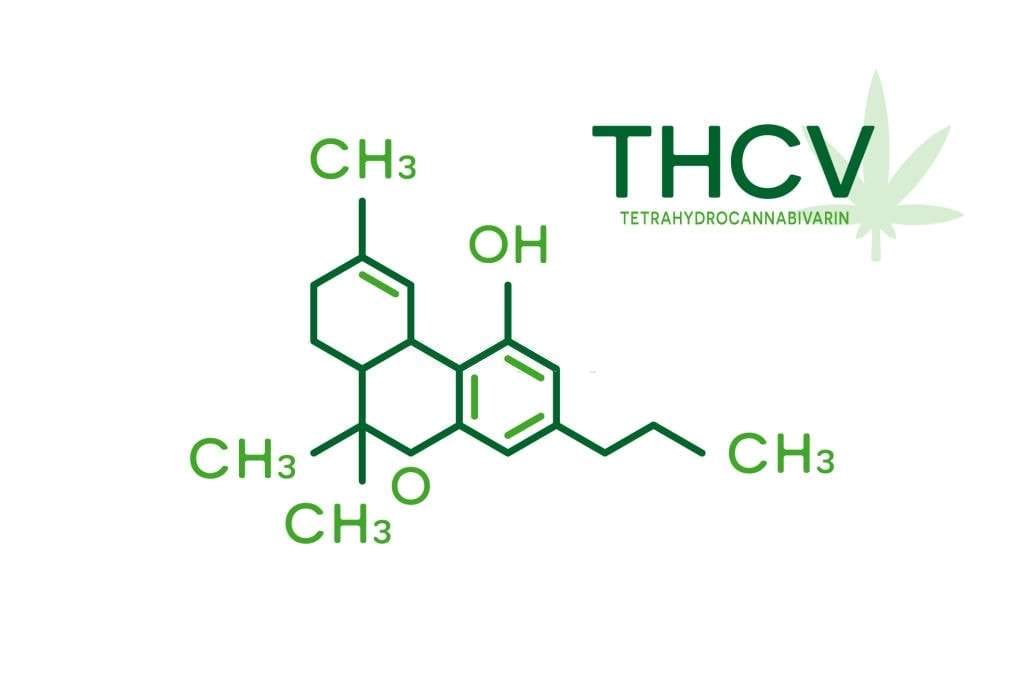 Top 4 Minor Cannabinoids: Uses And Benefits, #1 USA Cannabidiol Blog Top 4 Minor Cannabinoids, Top 4 Minor Cannabinoids: Uses And Benefits, #1 USA Cannabidiol Blog
