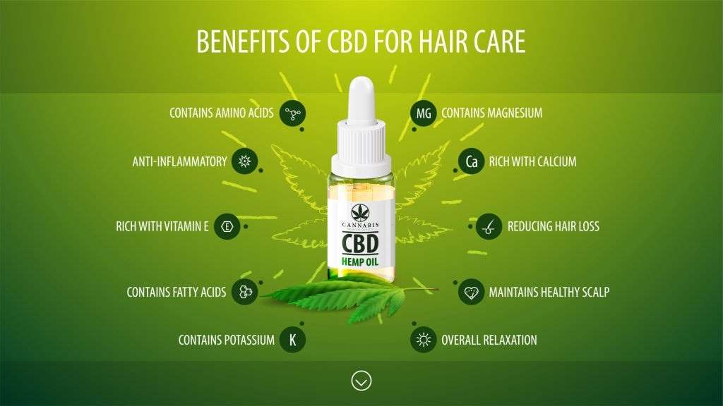 5 Reasons to Use CBD Oil for Healthy Hair, #1 USA Cannabidiol Blog CBD Oil for Healthy Hair, 5 Reasons to Use CBD Oil for Healthy Hair, #1 USA Cannabidiol Blog
