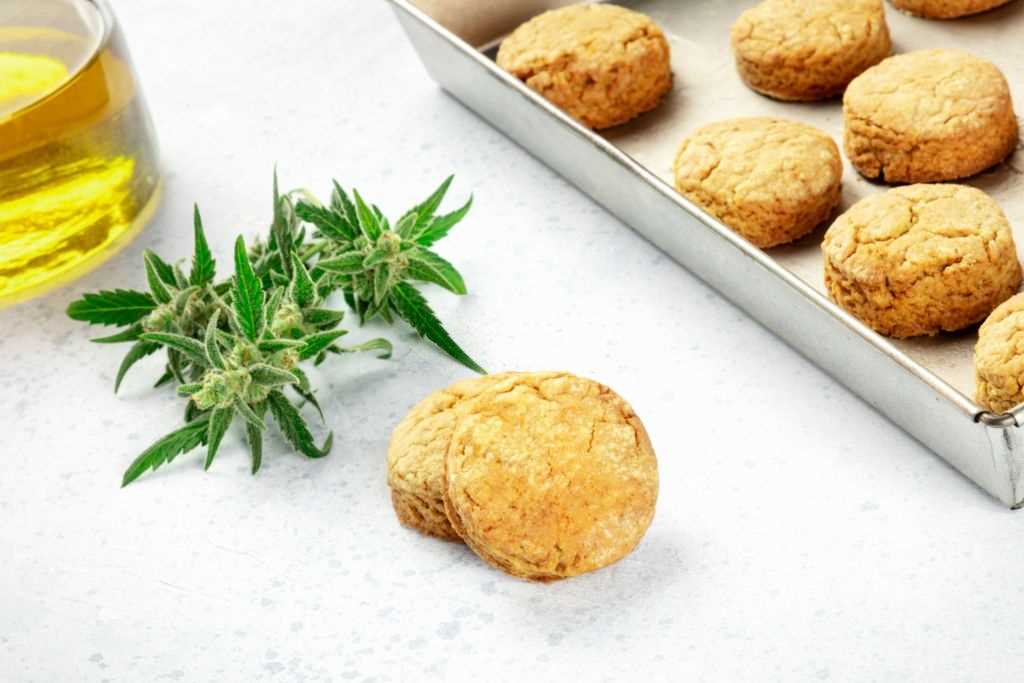 Cannabidiol Butter – What Is CBD Butter & How to Make It?, #1 USA Cannabidiol Blog Cannabidiol Butter, Cannabidiol Butter – What Is CBD Butter & How to Make It?, #1 USA Cannabidiol Blog