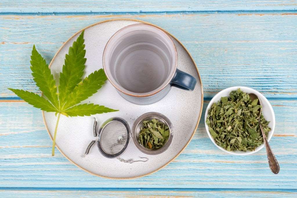 Cannabis Stem Tea: The Art Making the Perfect Tea, #1 USA Cannabidiol Blog Cannabis Stem Tea, Cannabis Stem Tea: The Art Making the Perfect Tea, #1 USA Cannabidiol Blog